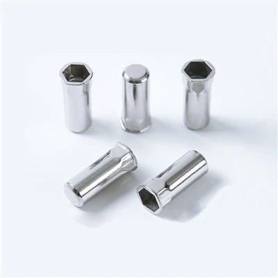 SS304 Half Hex gesloten blinde noot